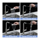Drop-In Kitchen Sink With Pull-Out Faucet And Soap Dispenser by HouseOfZazla