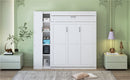 Murphy Wall Bed With Shelves, Wardrobe And LED Lights by HouseOfZazla