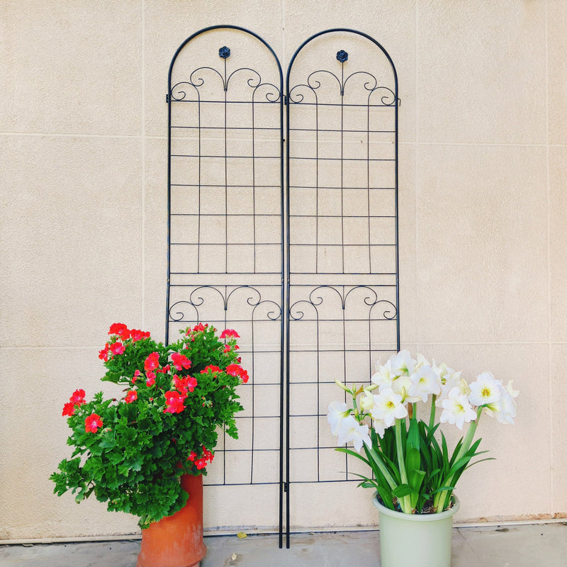 4 Pack Metal Garden Trellis for Climbing Plants, photo 7 of 10