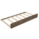 Daybed With Storage Shelves, LED, USB, And Trundle by HouseOfZazla