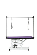 Hydraulic Pet Grooming Table With "H" Arm by HouseOfZazla