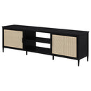 Kenneth - 2 Door TV Stand Doors - Black by HouseOfZazla