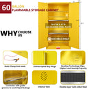 60 Gal Flammable Safety Cabinet, 34"W x 34"D x 65"H by HouseOfZazla
