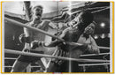 Rocky. The Complete Films (English)