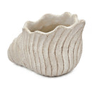 11.5x7x7' Sand and Cement Nautilus Shell Planter with Textured Beige Finish by HouseOfZazla