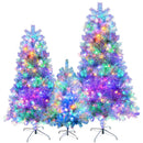 Premium Christmas Trees