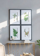 Botanical And Fern Wall Art, Wall Decor For Living Room Dining Room Entryway (Set of 4) - White / Black by HouseOfZazla