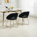 Accent Chairs Set of 2, Velvet Side Chairs with Gold Legs, Mid-Century Upholstered Dining Chairs for Living Room, Kitchen, Bedroom, Beauty Room