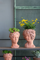 8X9X11.5" Head Bust Planter, Greek Style Cement Head Planter, Indoor Outdoor Home Garden Decor - Brown by HouseOfZazla