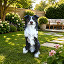 Outdoor Garden Border Collie Dog Statue Greeter