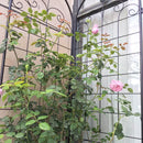 Metal Garden Trellis For Climbing Plants Outdoor Rustproof Plant Support Rose Trellis Netting Trellis by HouseOfZazla