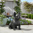 Outdoor French Bulldog Garden Sculpture