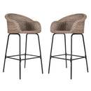 Ladd Outdoor Metal Wicker Barstool Set of 2
