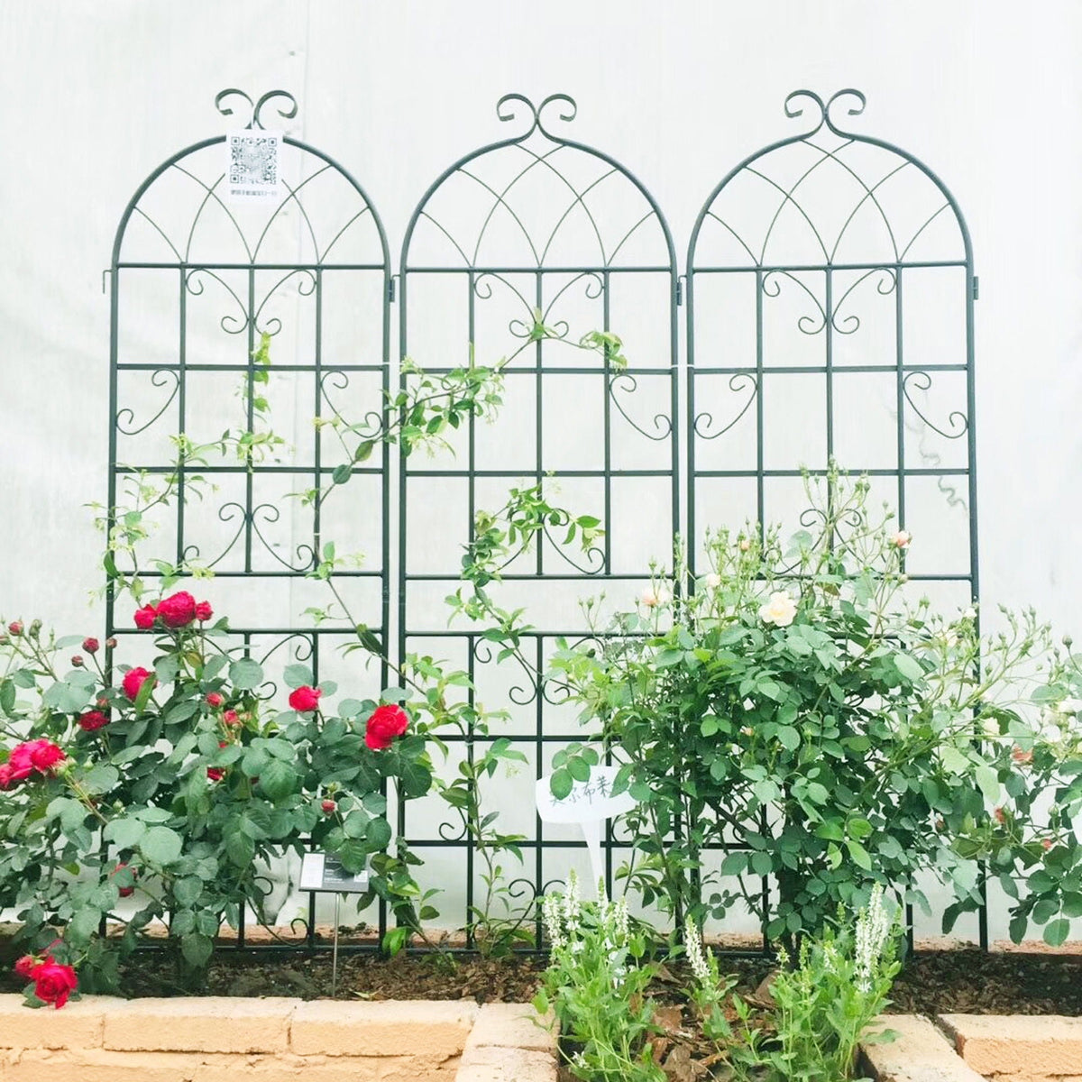 Metal Garden Rustproof Trellis For Climbing Plants Outdoor Flower Support, photo 39 of 40