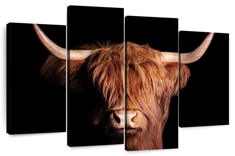 Scottish Highland Cow Wall Art