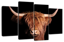 Scottish Highland Cow Wall Art