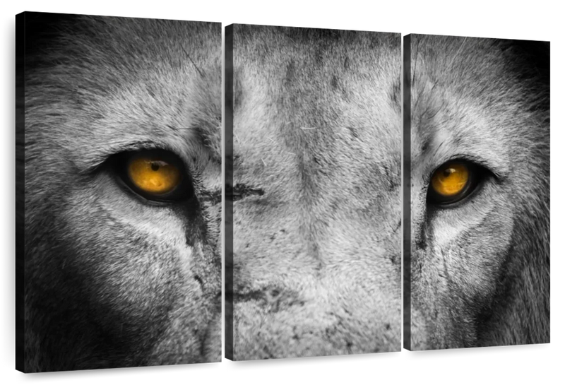 Lion Eyes Pop Wall Art