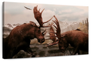 Moose Battle Wall Art