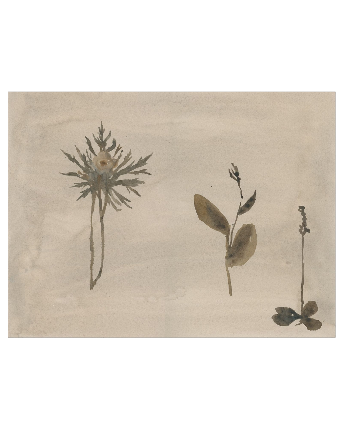 Botanical Thoughts IV, photo 11 of 25