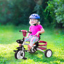 7-in-1 Detachable Baby Stroller with Canopy and Safety Harness by LJGDeals