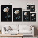 Still Life Photograph of a White Rose, Framed Canvas Print, Rose Painting, Rose Decor, Rose Wall Art, Mother's Day Gift Idea, Flower Wall Art