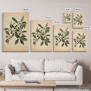Mistletoe Canvas Print - Framed Canvas - Minimalist Christmas Art - Boho Christmas Art - Rustic Christmas Art