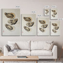 Wabi Sabi Oyster Pearl Watercolor Painting Print, Coastal Art, Gift For Her Or Him, Japanese style Artwork, Oyster Shell Painting, Oyster Art