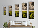 Vineyard Path, Wine Country, Rustic Landscape, Wall Decor, Living Room Art, Framed Canvas Print, Countryside, Nature Artwork