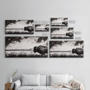 Bison Landscape, Western Art, Black and White Buffalo, Rustic Home Decor, Southwestern Wall Art, Nature Artwork, Framed Canvas Print