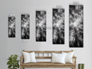 Forest Canopy, Nature Perspective, Tranquil Trees, Black and White, Framed Canvas Print, Cabin Wall Art, Scandinavian Decor, Minimalist Style