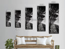 Windy Forest Trail, Dark Coastal Trees, Atmospheric Nature, Framed Canvas Print, Fall Living Room Wall Art, Moody Landscape Aesthetic
