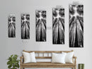 Redwood Forest, Sunlight Trees, Nature Canopy, Canvas Print, Serene Woodland Art, Cabin Wall Decor, Black and White Forest Art, Bedroom Wall Art