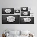 Sand Dollar, Beach Detail, Minimalist Sea, Calm Nature, Framed Canvas Print, Bathroom Wall Art, Coastal Boho Decor, Ocean Zen Style