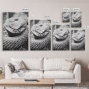 Rattlesnake Face, Coiled Closeup, Venomous Gaze, Canvas Print, Macro Wildlife Wall Art, Reptile Decor, Intense Black White Photography