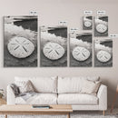 Sand Dollar, Coastal Shore, Ocean Shell Print, Canvas Print, Beachcomber Wall Art, Seaside Bathroom Decor, Nautical Nature Photography