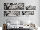 Sprawling Trees, Oak Forest, Sunlit Canopy, Majestic Branches, Canvas Print, Nature Wall Art, Boho Decor, Living Room Statement Piece