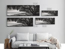 Ocean Trees, Shoreline Light, Majestic Forest, Beach Scene, Framed Canvas Print, Boho Wall Decor, Bedroom Art, Zen Coastal Artwork