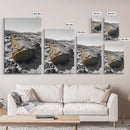 Yellow Lichen Rock, Monochrome Landscape, Desert Texture, Canvas Print, Rustic Wall Art, Minimalist Decor, Entryway or Office Art