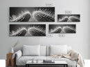 Desert Cactus, southwest wall art, moody art, Joshua tree art, extra wide wall art, nature photography, framed canvas print