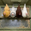 70-Inch Wooden Chicken Coop With Nesting Box, Perch, And Run Doors (SAK74619) by SAKSBY WHOLESALE