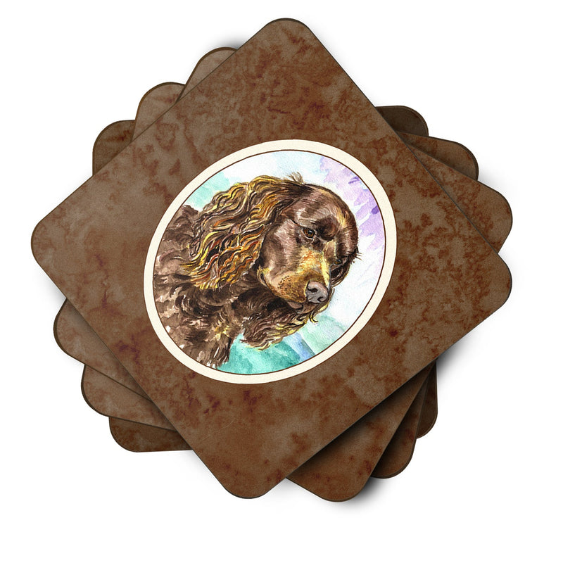 American Water Spaniel Foam Coaster  7008FC