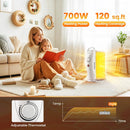 700W Electric Oil Filled Radiator Heater with Adjustable Thermostat by LJGDeals
