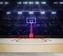 Basketball Court Stadium Wallpaper Mural.
