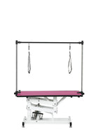 Hydraulic Pet Grooming Table With "H" Arm by HouseOfZazla