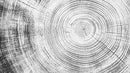 Tree Rings Wallpaper Mural. Black and White  Modern Wood Grain Circle Pattern.