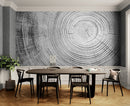 Tree Rings Wallpaper Mural. Black and White  Modern Wood Grain Circle Pattern.