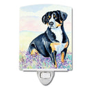 Entlebucher Mountain Dog Ceramic Night Light Compact, UL-Certified, Ideal for Bedroom, Bathroom, Nursery, Hallway, Kitchen, 6x4x3, Multicolor