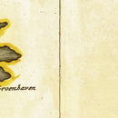 Vintage Map of Spitsbergen, 1665