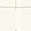 Vintage Map of Nova Zembla, 1665