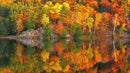 Colorful Autumn Forest Over Lake Wall Mural. Fall Foliage.